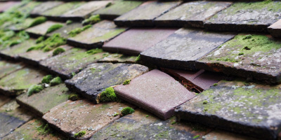 Nibley roof repair costs